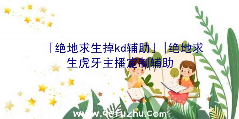「绝地求生掉kd辅助」|绝地求生虎牙主播定制辅助